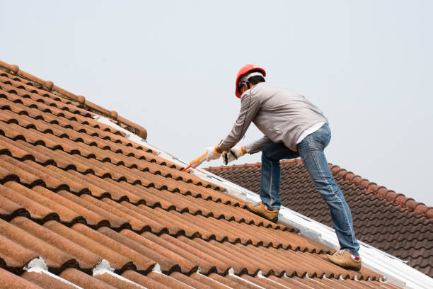 Best Roof Moss and Algae Removal  in Waverly, OH